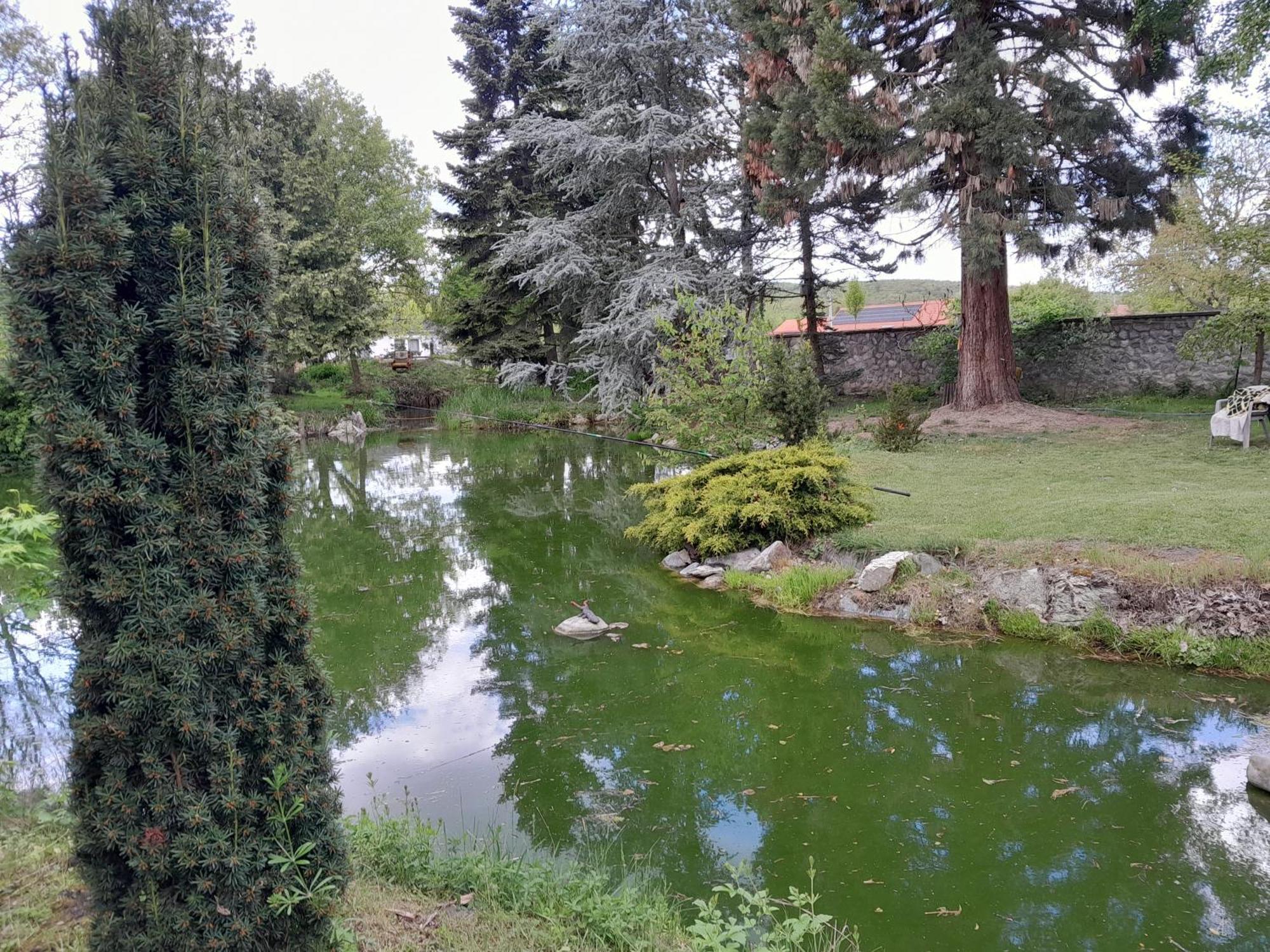 Varazsfa Vendeghaz Demjén Zewnętrze zdjęcie