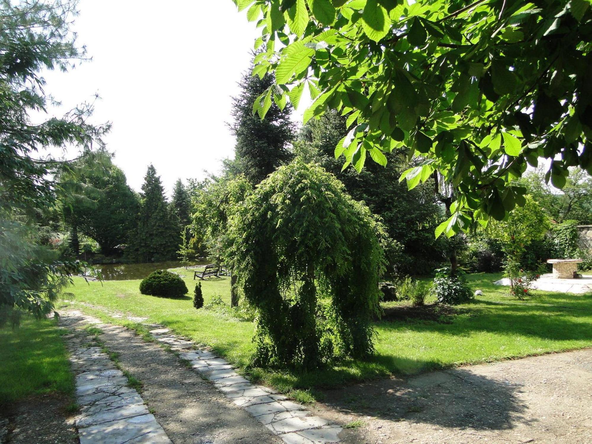Varazsfa Vendeghaz Demjén Zewnętrze zdjęcie